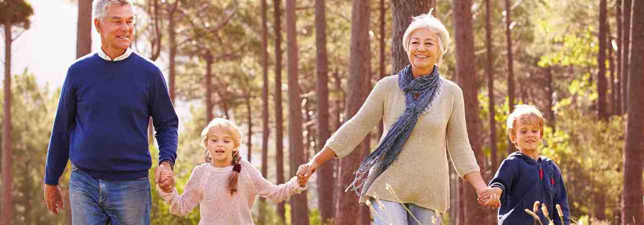 Book your flu jab